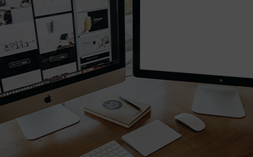 Web Design & Development